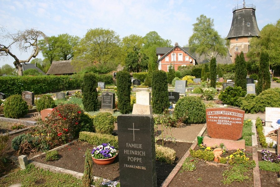 47.jpg